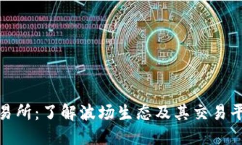 波场交易所：了解波场生态及其交易平台优势