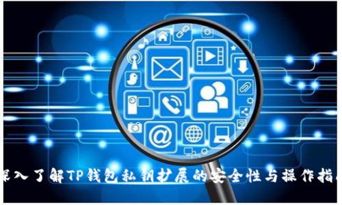 深入了解TP钱包私钥扩展的安全性与操作指南
