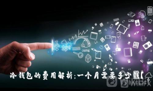 冷钱包的费用解析：一个月需要多少钱？