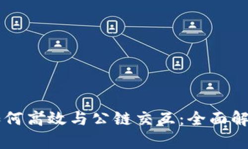 区块链钱包如何高效与公链交互：全面解析及实用指南