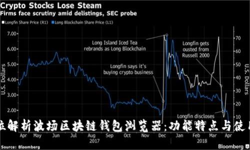 全方位解析波场区块链钱包浏览器：功能特点与使用指南