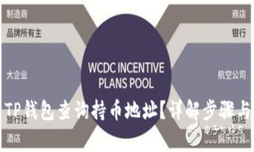 如何使用TP钱包查询持币地址？详解步骤与注意事项