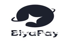 区块链钱包加盟骗局全面