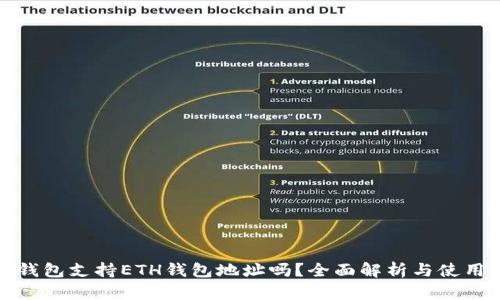 : TP钱包支持ETH钱包地址吗？全面解析与使用指南