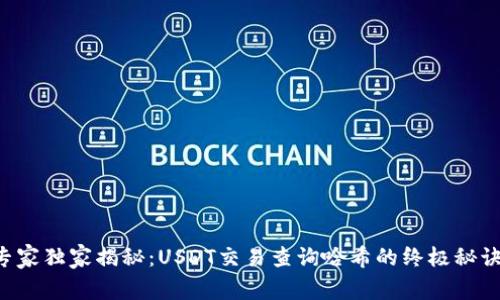 专家独家揭秘：USDT交易查询哈希的终极秘诀！