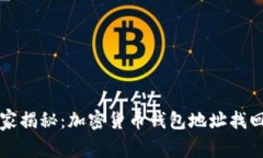 专家独家揭秘：加密货币