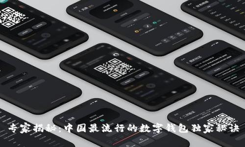 专家揭秘：中国最流行的数字钱包独家秘诀