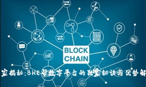 专家揭秘：BHE帮数字平台的独家秘诀与优势解析