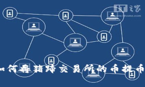 专家独家揭秘：如何将猪蹄交易所的币提币到TP钱包的秘诀