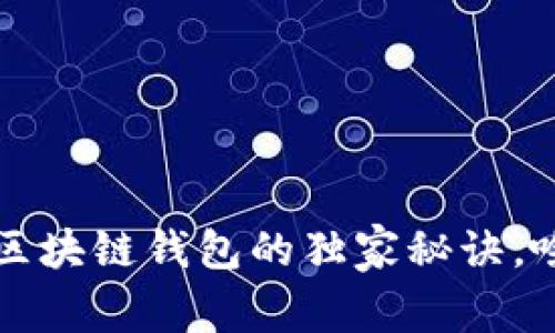 专家揭秘：区块链钱包的独家秘诀，啥币都能存！