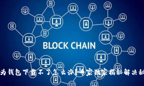 华为钱包下载不了怎么办？专家独家揭秘解决秘诀