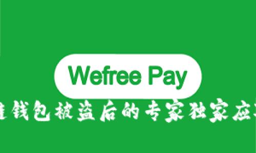 区块链钱包被盗后的专家独家应对秘诀