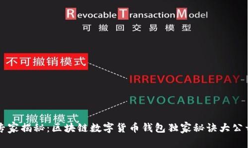 专家揭秘：区块链数字货币钱包独家秘诀大公开