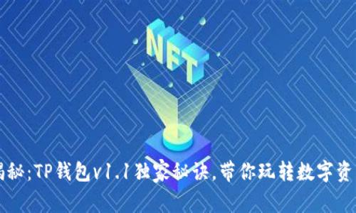专家揭秘：TP钱包v1.1独家秘诀，带你玩转数字资产管理
