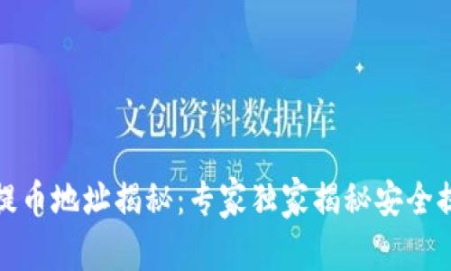 TP钱包提币地址揭秘：专家独家揭秘安全提币秘诀