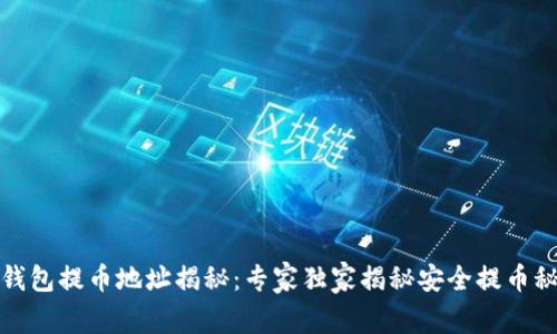 TP钱包提币地址揭秘：专家独家揭秘安全提币秘诀