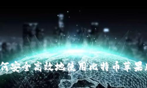 专家揭秘：如何安全高效地使用比特币苹果版的独家秘诀