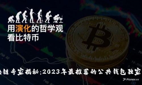 区块链专家揭秘：2023年最推荐的公共钱包独家秘诀