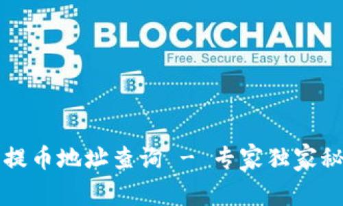 TP钱包提币地址查询 - 专家独家秘诀分享