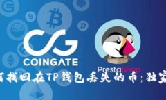 专家教你如何找回在TP钱包