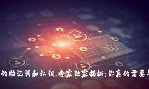 TP钱包的助记词和私钥，专家独家揭秘：你真的需要导出吗？