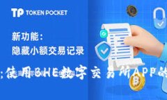 专家揭秘：使用BHE数字交