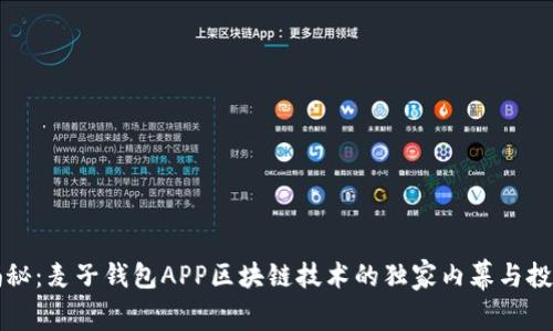 专家揭秘：麦子钱包APP区块链技术的独家内幕与投资秘诀