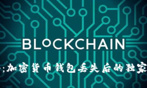 专家揭秘：加密货币钱包丢失后的独家应对秘诀