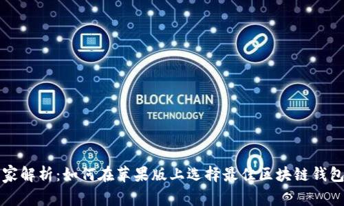 专家独家解析：如何在苹果版上选择最佳区块链钱包的秘诀