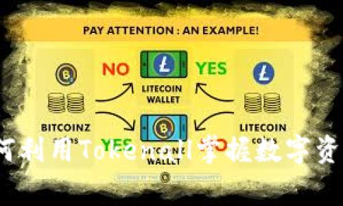 专家揭秘：如何利用Tokenall掌握数字资产的独家秘诀