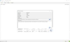 专家独家揭秘：如何在T