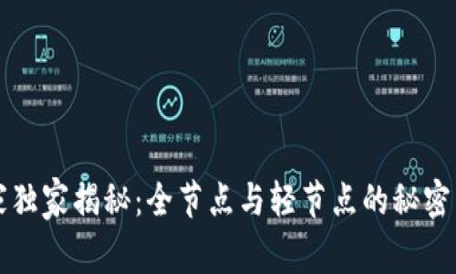 区块链专家独家揭秘：全节点与轻节点的秘密与选择秘诀