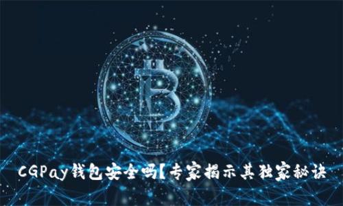 CGPay钱包安全吗？专家揭示其独家秘诀