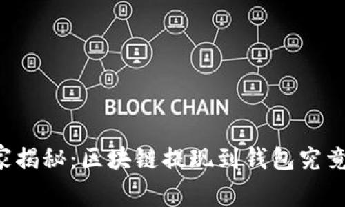 专家独家揭秘：区块链提现到钱包究竟要多久？