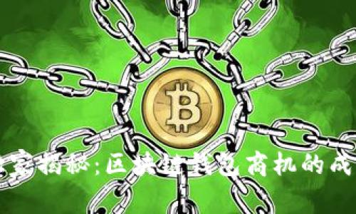 专家独家揭秘：区块链钱包商机的成功秘诀