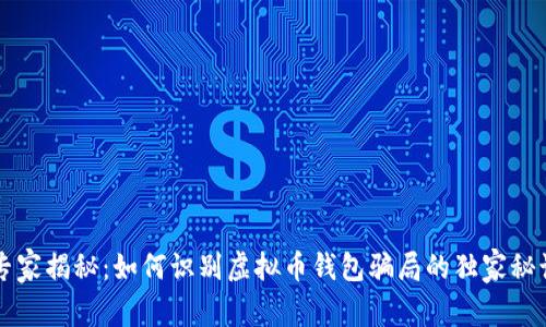 专家揭秘：如何识别虚拟币钱包骗局的独家秘诀