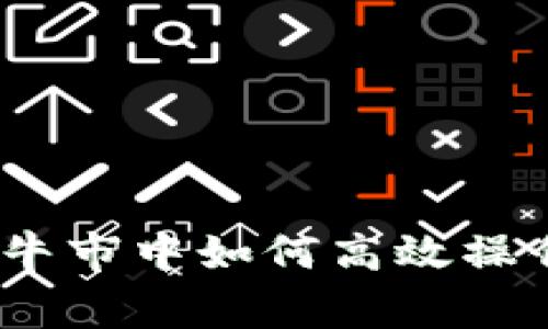 专家独家揭秘：牛市中如何高效操作TP钱包的秘诀