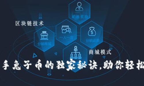 专家揭秘：TP钱包携手兔子币的独家秘诀，助你轻松掌握数字货币投资！