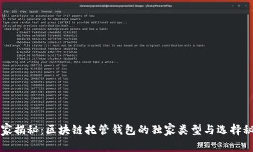 专家揭秘：区块链托管钱包的独家类型与选择秘诀