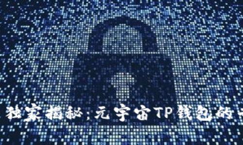 京西集团独家揭秘：元宇宙TP钱包的专家秘诀！