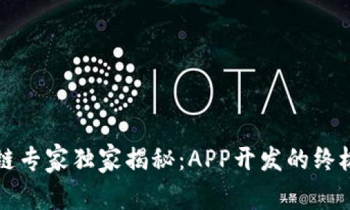 区块链专家独家揭秘：APP开发的终极秘诀