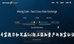 专家教你如何在Sol链上添