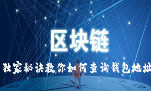 专家揭秘：独家秘诀教你如何查询钱包地址USDT余额