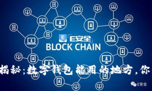 专家独家揭秘：数字钱包能用的地方，你知道多少？