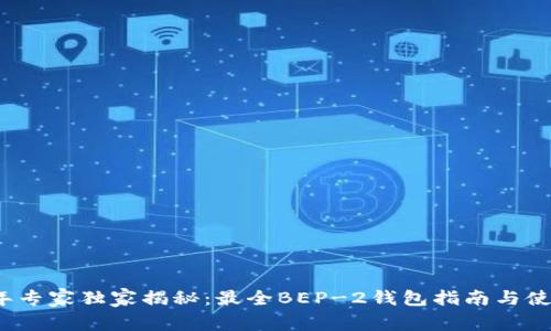 2023年专家独家揭秘：最全BEP-2钱包指南与使用秘诀