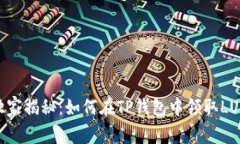 2023年专家独家揭秘：如何