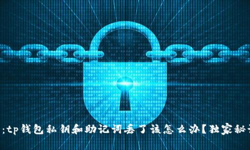 专家解答：tp钱包私钥和助记词丢了该怎么办？独家秘诀大曝光！