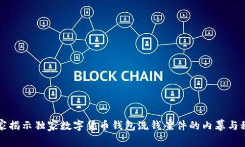 专家揭示独家数字货币钱包洗钱案件的内幕与秘诀