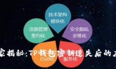 专家独家揭秘：TP钱包密钥