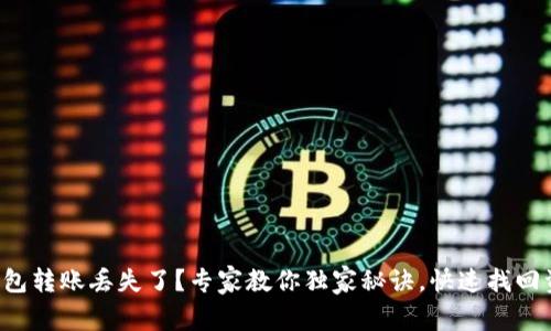 TP钱包转账丢失了？专家教你独家秘诀，快速找回资产！